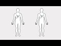 Flow Cytometry Analysis