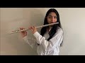 Blank Space - Flute Cover - Taylor Swift