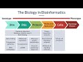 What is Bioinformatics?