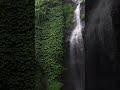 #nature #waterfall