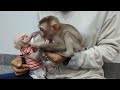Help baby monkeys changing his diaper