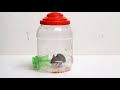 Easy Mouse Trap | DIY Mouse Trap | Rat Trap Homemade | HOW to MAKE MOUSE TRAP