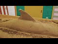 How to make sand sculpture of dolphin