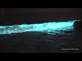 Red Tide Bioluminescence Scripps Pier April 24, 2020