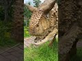 Khu ấp trứng khủng long Dino Park phan thiết