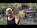 Homestead Honey Harvest