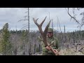 HUGE BROWN ELK SHEDS!!! 380