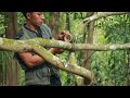 create special amazing primitive Bamboo trap for jungle rats