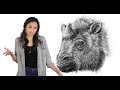 Elasmotherium: The Real Mudhorn
