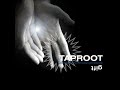 Taproot- Comeback