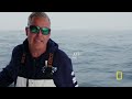 Fish or Shark? | Wicked Tuna | National Geographic