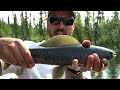Fishing for Arctic Grayling in Alaska | Summer Boating Delta Clearwater River