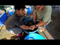 Dagupan Fishport adventure | Ang daming seafoods dito..