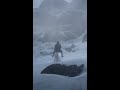 Red dead redemption 2 John Marston tame the white Arabian horse after epilogue