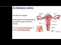 Introduction to Embryology + Gametogenesis (Spermatogenesis and Oogenesis)