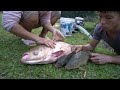 Most Amazing Wild Fishing, Unique Exciting Catch Big Fish With A Large Pump Sucks Water Out Of Lake