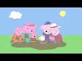 ❤️ Peppa Loves Goldies the Fish - Valentine's Special