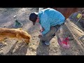 NEGLECTED PONY has the HAPPIEST REACTION TO GETTING HIS HOOVES TRIMMED |The Dodo Heroes
