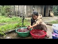 The poor girl was harvesting palm fruit. Processed into delicious dishes to sell