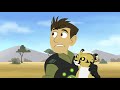 Wild Kratts - Animals You Shouldn't Mess With | Kids Videos