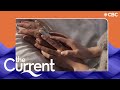 What do people dream about when they're dying? | The Current