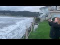 Onlookers Witness Herd of Elk Running Through Surf on Oregon Beach