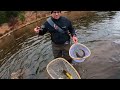 Lucky Sevens | Trout Fishing Colorado