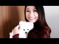LEO | How We Train Our Pomeranian Puppy | 15+ Tricks