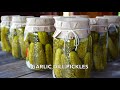 The best GARLIC DILL PICKLES recipe!
