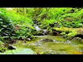 4K HDR Relaxing waterfals flowing in wild mountain forest.   Calming forest waterfall sound.