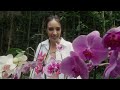 NURIA GIL TE ENSEÑA A CUIDAR TUS ORQUIDEAS (Teaser)