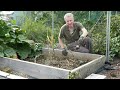 How To Grow Elephant Garlic - From Planting Cloves To Harvest, Including Month By Month Video Clips