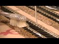 How-to solder track & feeder wires (HO scale model railroad)