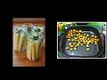 #NatureToGo | Cattails: Nature's Food on a Stick – How to Harvest and Eat Cattail Plants