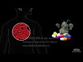 Antibiotic Resistance, Animation