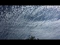 Wavy Clouds In Kentucky 8-20-23 at 2:00 p.m.