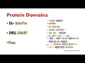 Bioinformatics Methods in Identification Protein Function | Domains |Trans-membrane etc.,