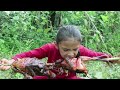 Catch chicken meet Ducks are laying eggs | Amazing Roasted chicken and duck recipe