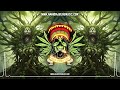 Amanda Juline - Love Over Fear ☮️ (New Reggae 2024 / Roots Reggae 2024 / Reggae Lyric Video)