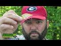 Spring Bass Fishing with Squarebill Crankbaits - Sorry for flicking you off