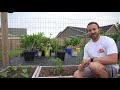 STRING TOMATO TRELLIS! Tying Up Tomatoes Like This Changed My Life