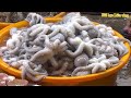 Một ngày mai mắn của hai vợ chồng mua bán hàng đắt quên cả ăn cơm luôn 🦀🦑🐟🦐🦐