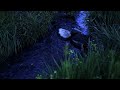 ASMR Water Sounds | Stream Sounds at Night | Nature Sounds for Sleeping, Relax, Insomnia