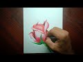 drawing rose 🌹 | artistfever | how to draw realastic rose drawing @Artistfever