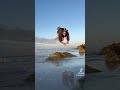 Therian TikTok videos compilation!