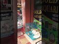 Pet shop in cooch Behar #shorts #shortvideo #trending