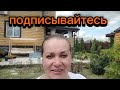 Обработала розы. Посадила клематис. Подсыпали землю.