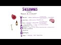 Seizures - Seizure Types | Generalized vs Focal Seizures | Causes of Seizures (Mnemonic)