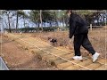 공원 산책하는 강아지 🐶/ walking puppy 🐶
