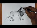 How to draw a lion | pencil drawing | step by step | black and white